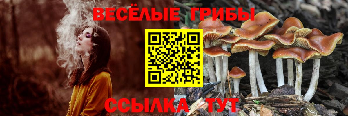 Галлюциногенные грибы прущие грибы  Вход с VPN  Бирск 